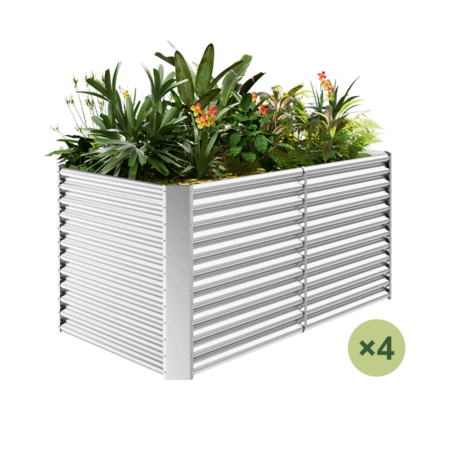 4-Pack 36