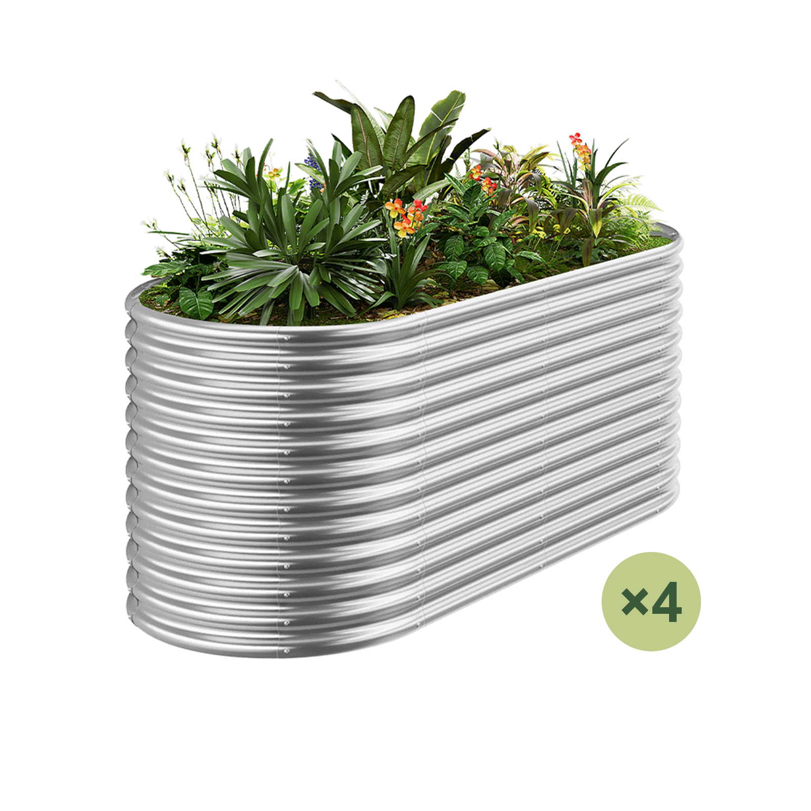 4-Pack 36