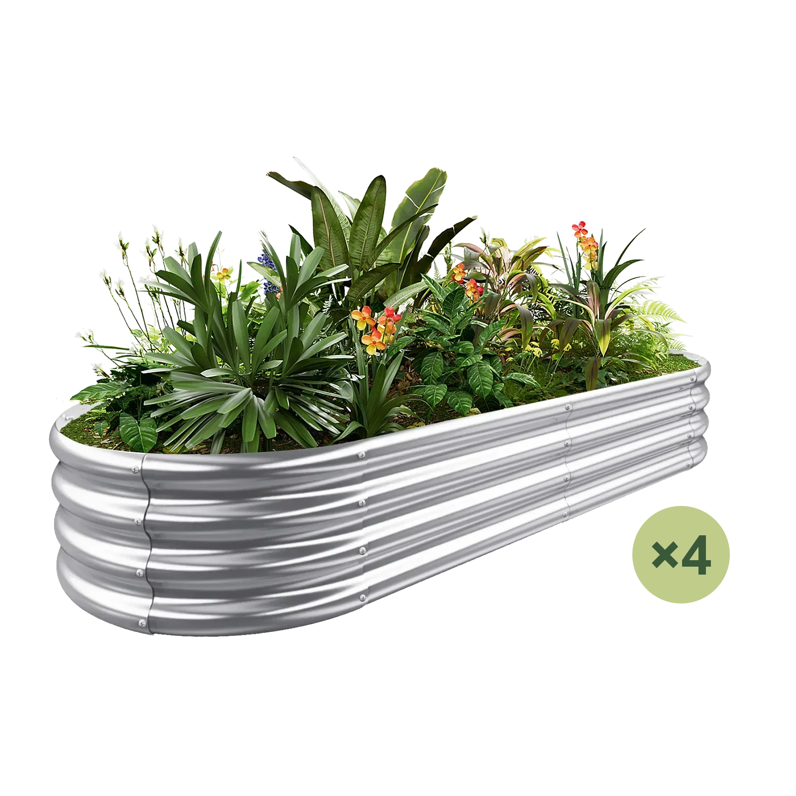 4-Pack Oval 6x3x1ft Galvanized Raised Garden Bed