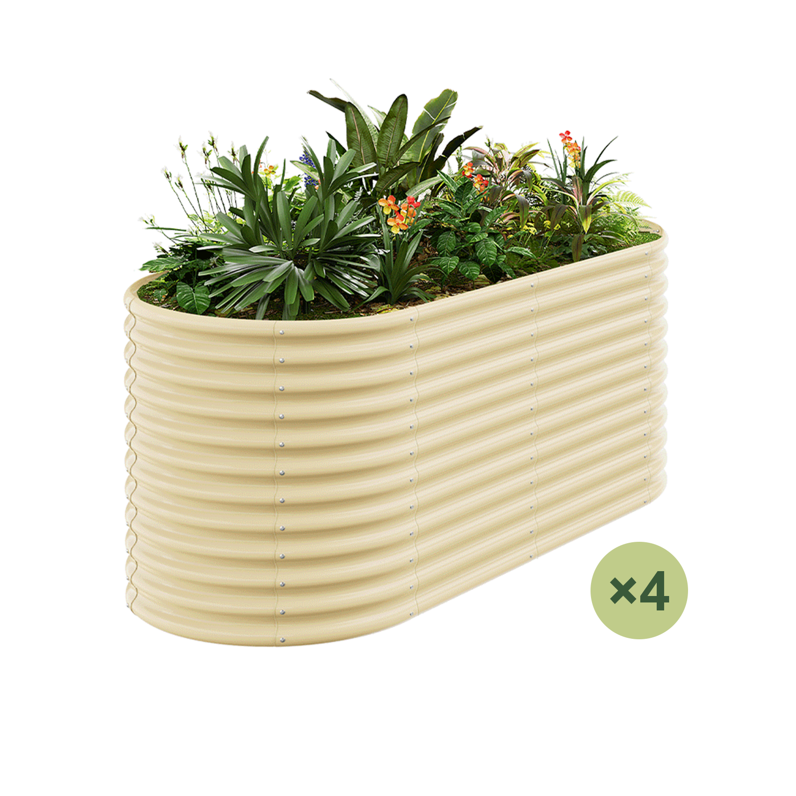 4-Pack 36