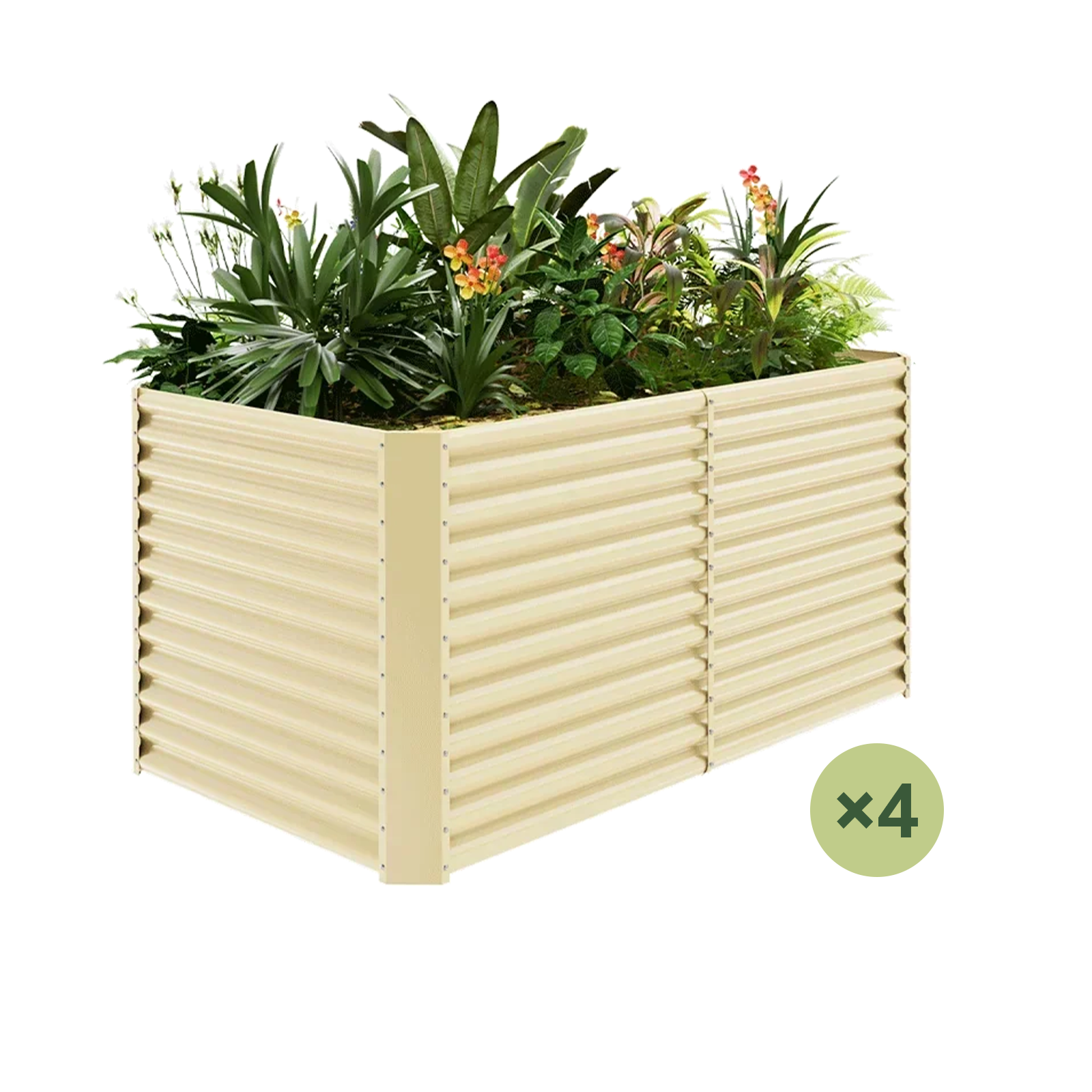 4-Pack 36