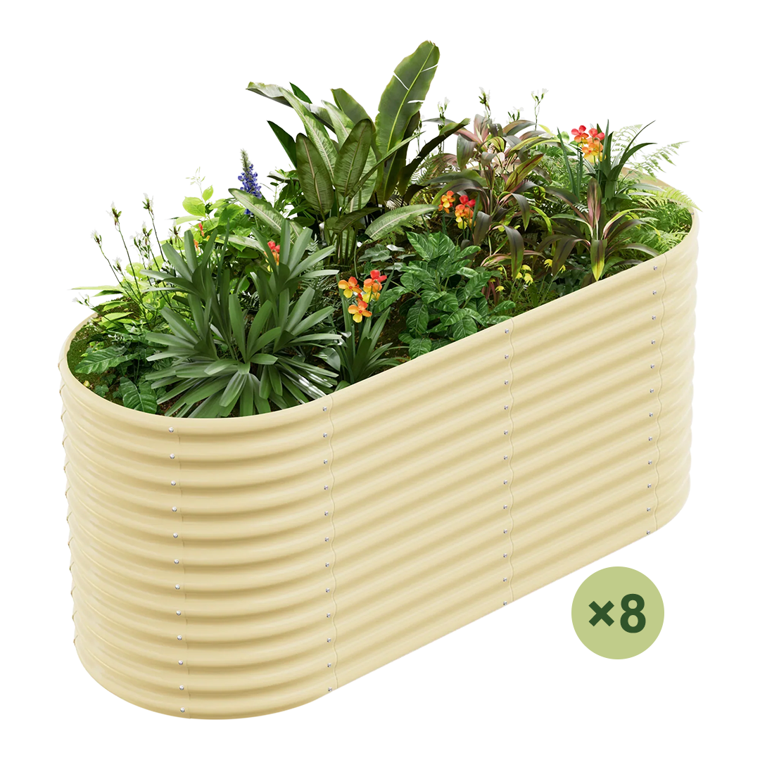 8-Pack 36