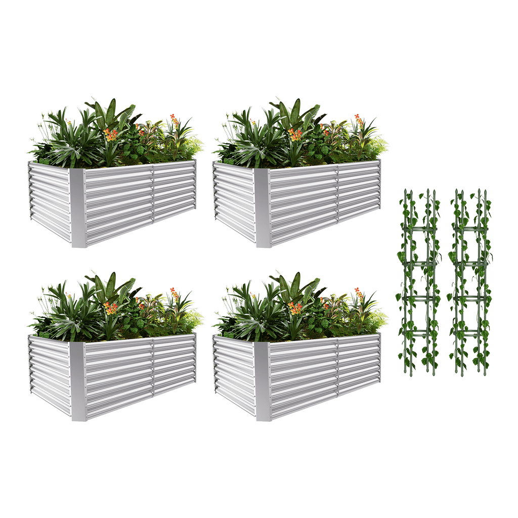 4-Pack 24