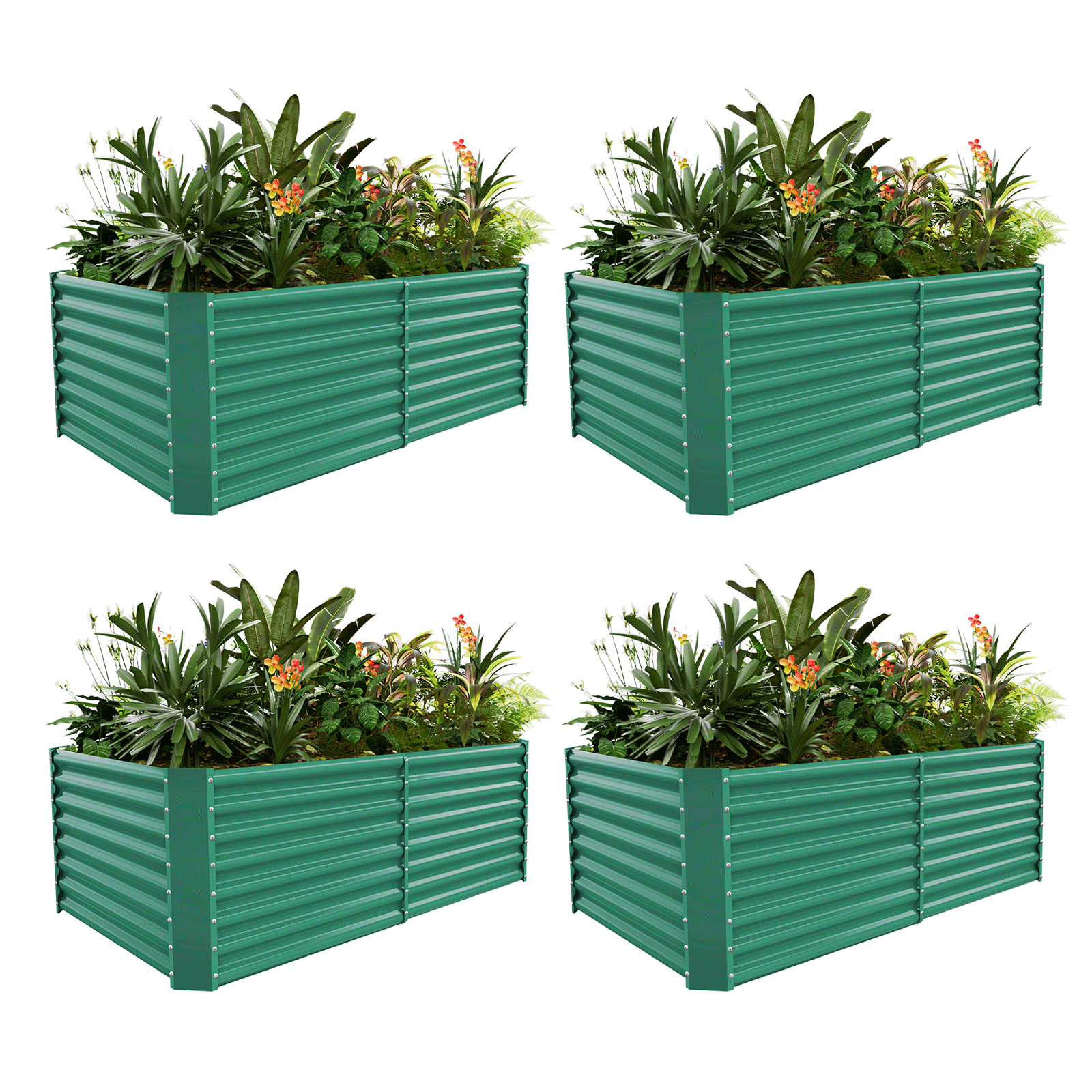4-Pack 24
