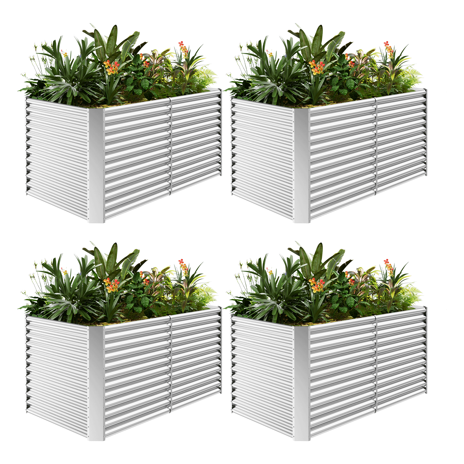 4-Pack 36