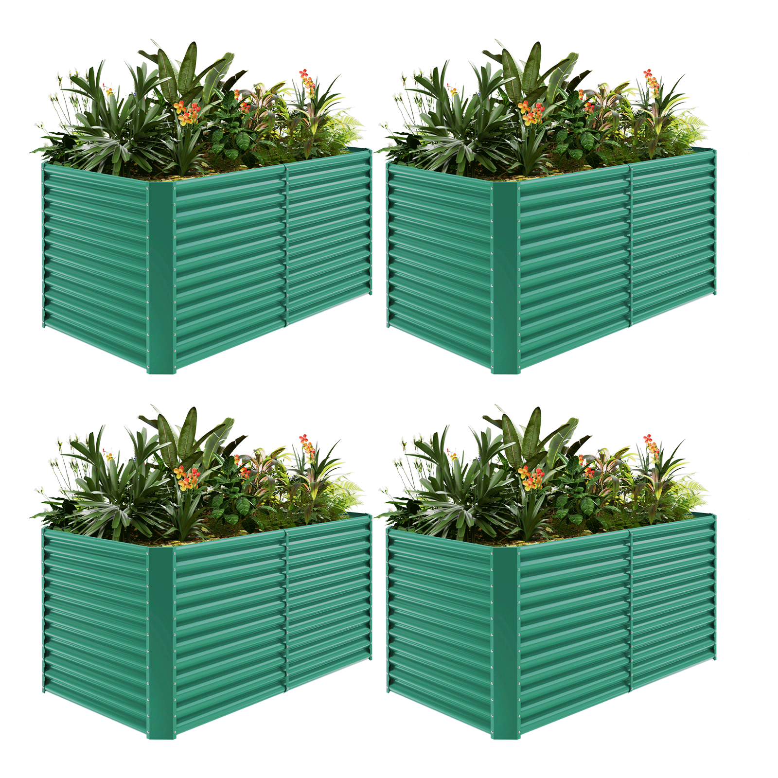 4-Pack 36