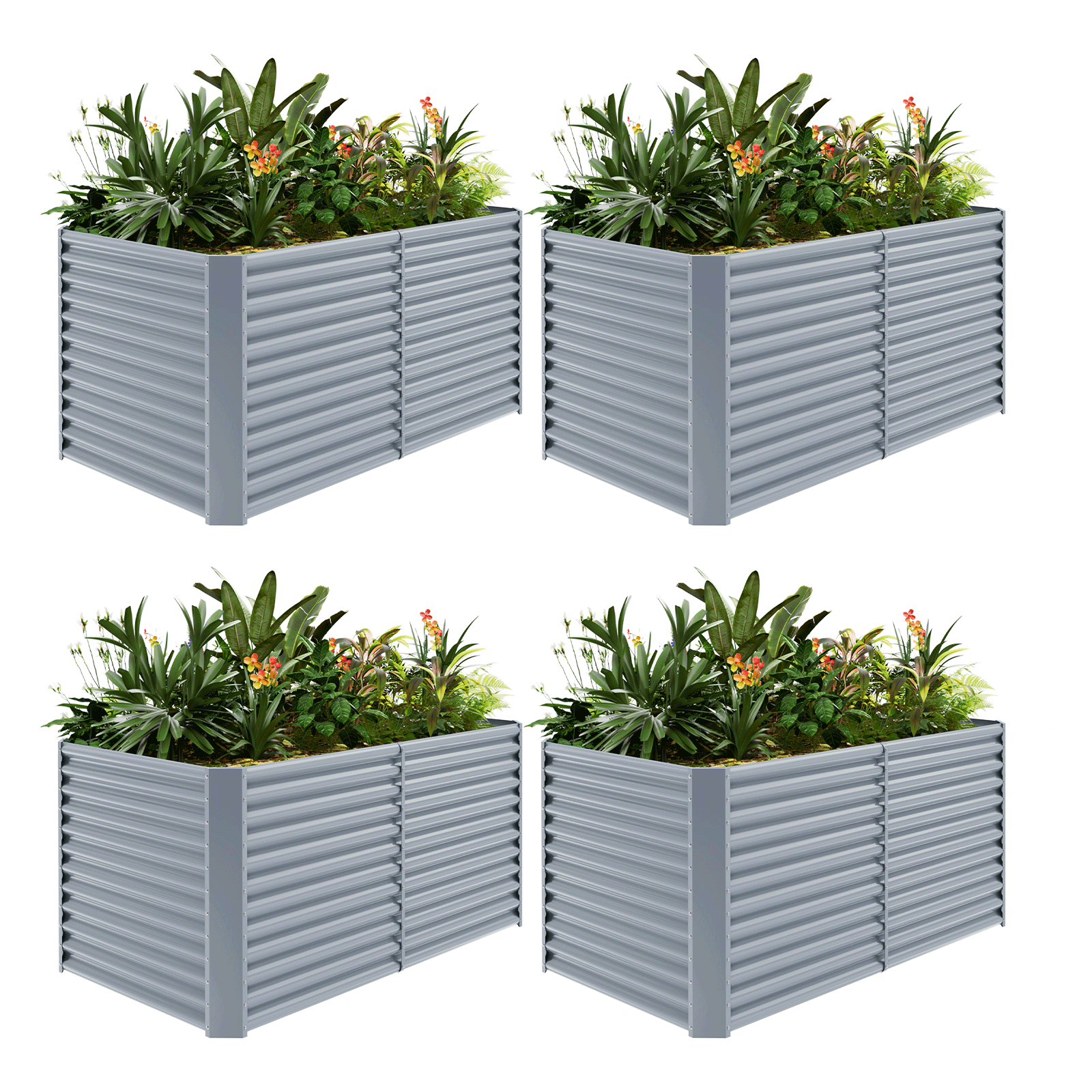 4-Pack 36