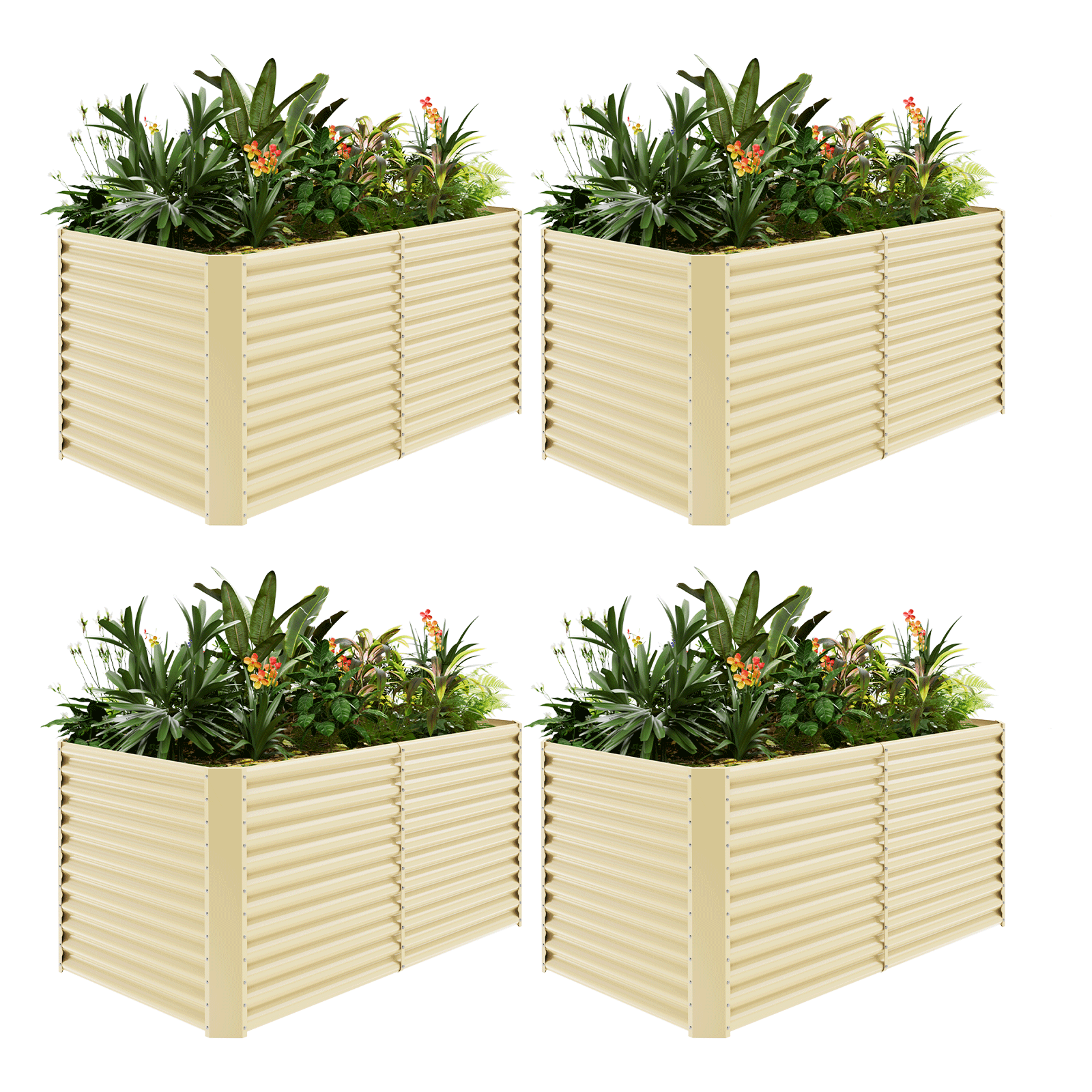 4-Pack 36