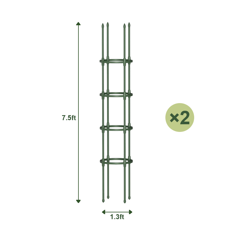 Round Climbing Frame