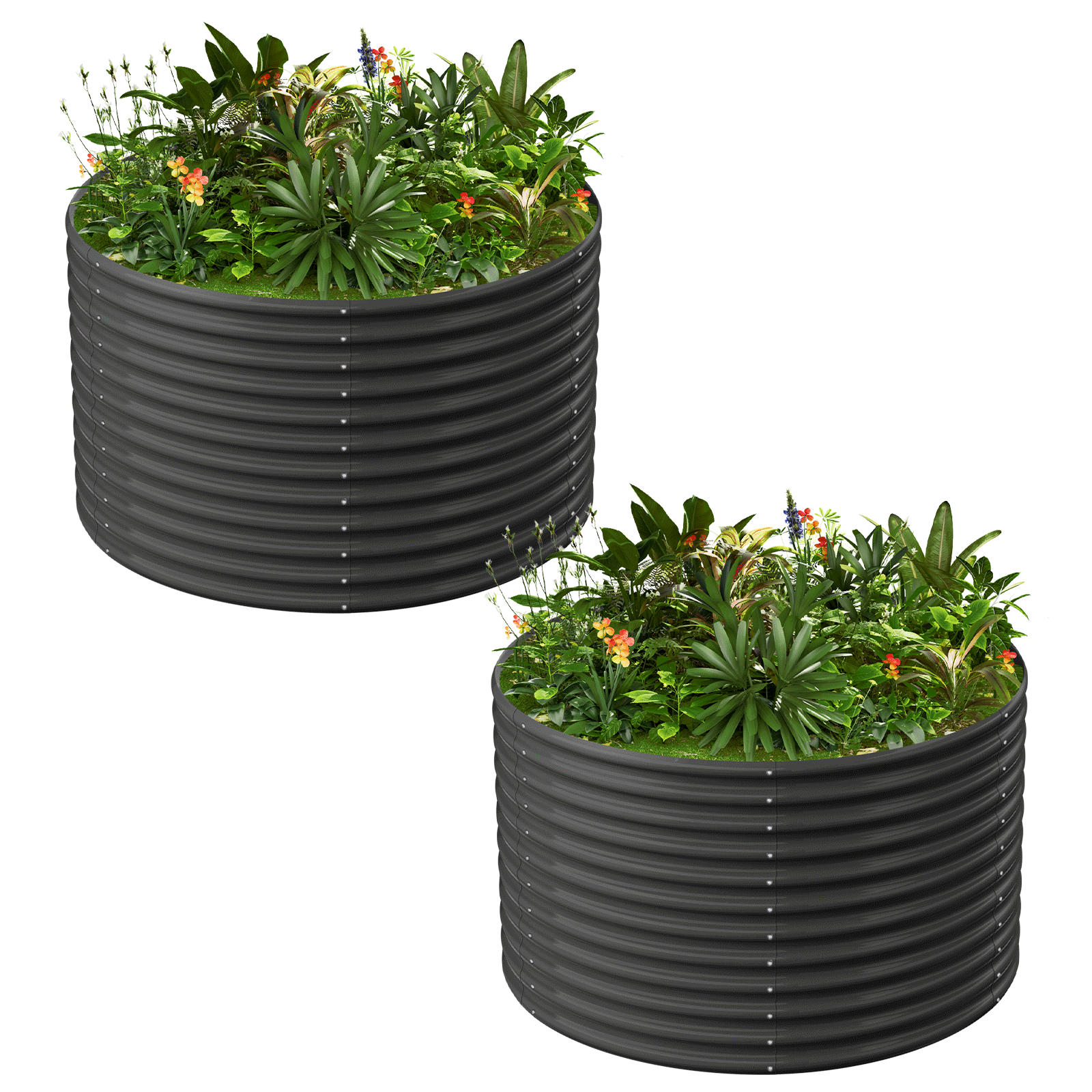 2-Pack 36
