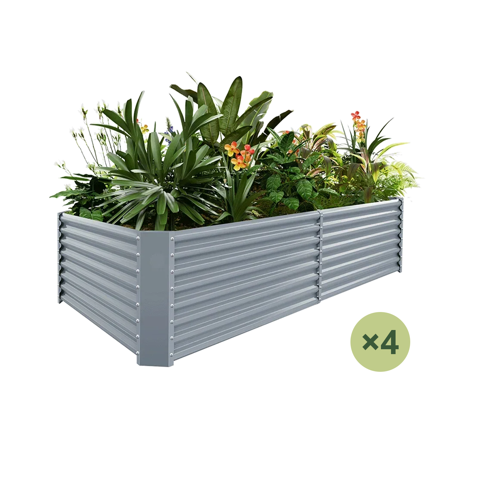 4-pack of 24-inch tall galvanized rectangular raised garden beds with plants