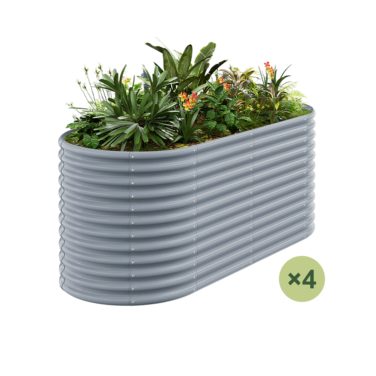 4-Pack 36