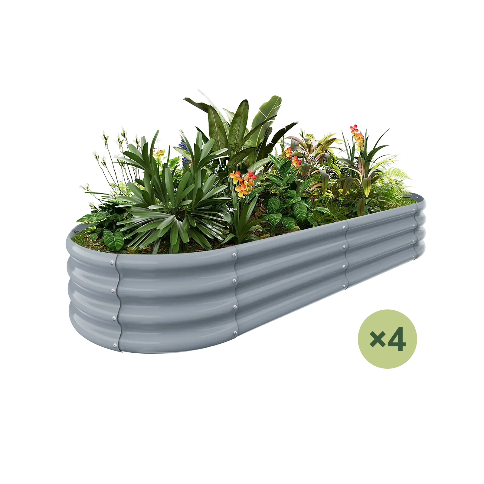 4-Pack Oval 6x3x1ft Galvanized Raised Garden Bed
