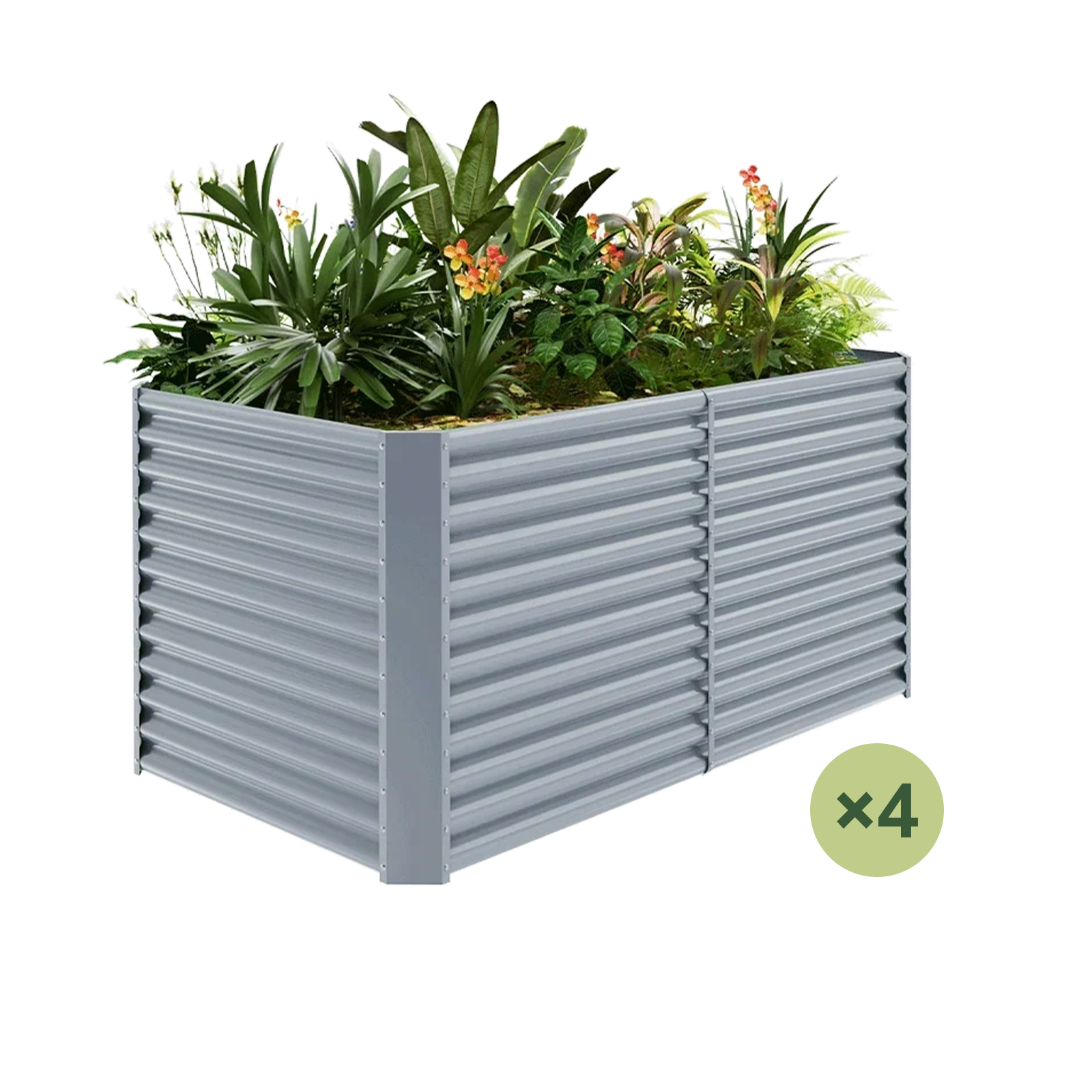 4-Pack 36