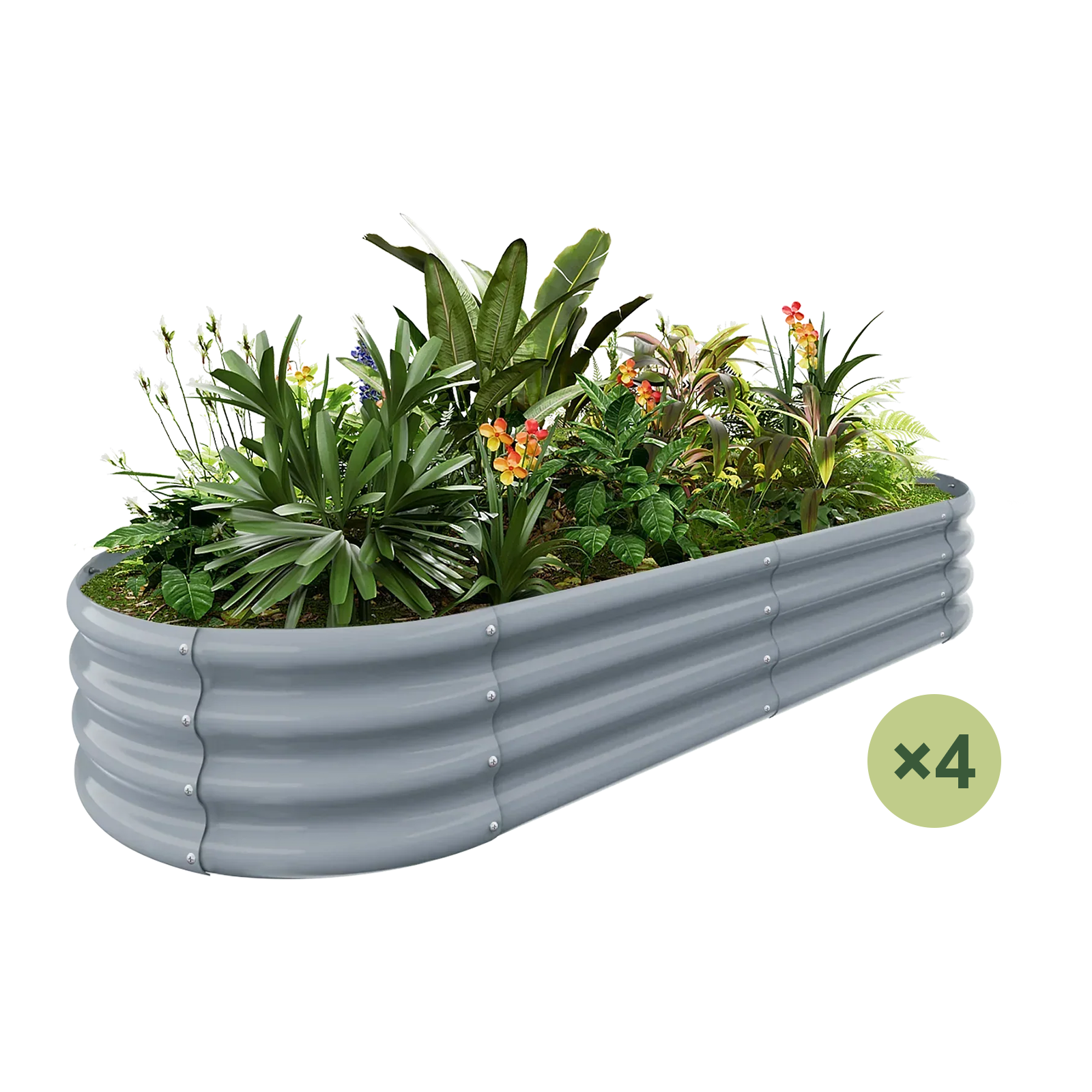 4-Pack Oval 6x3x1ft Galvanized Raised Garden Bed