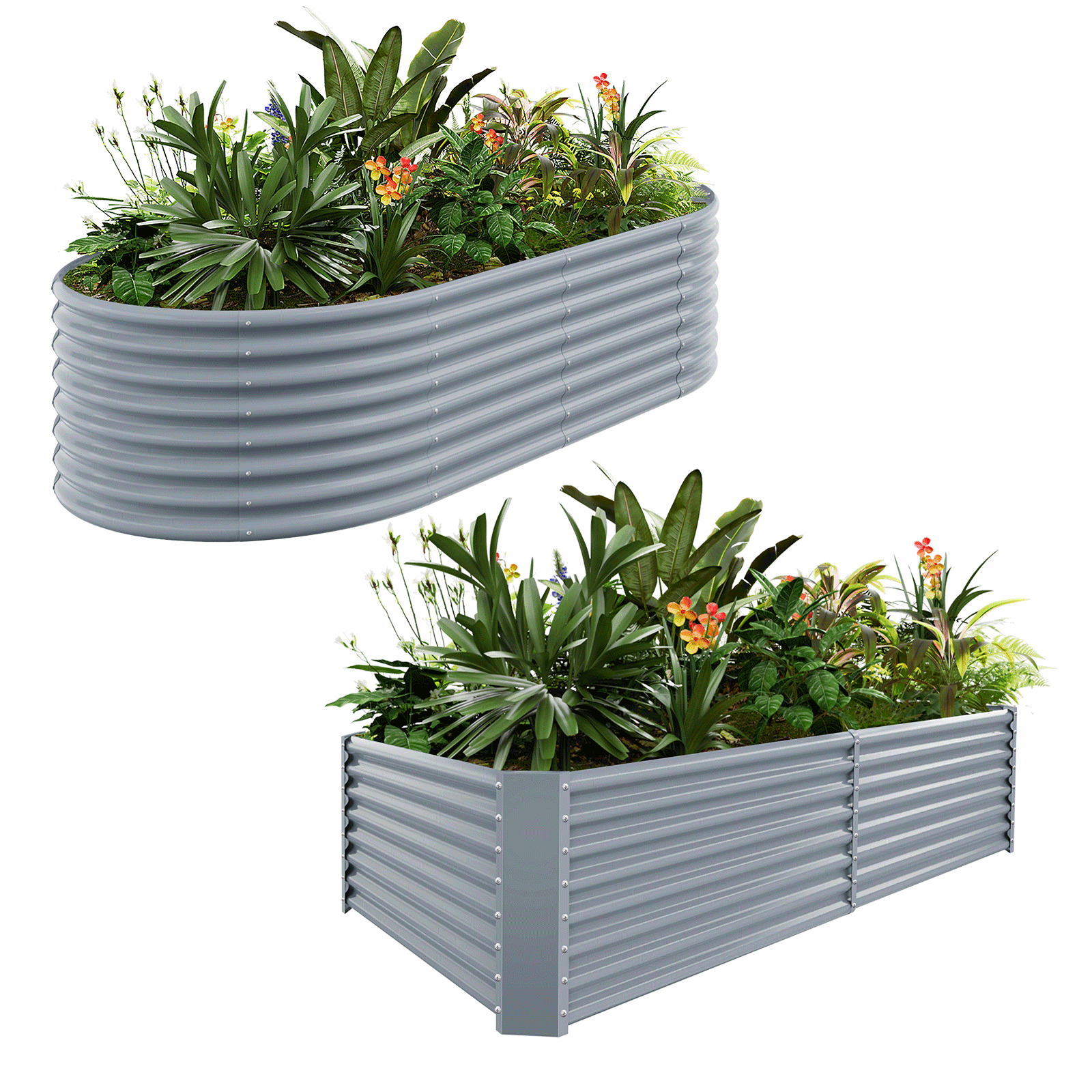 2-Pack 24