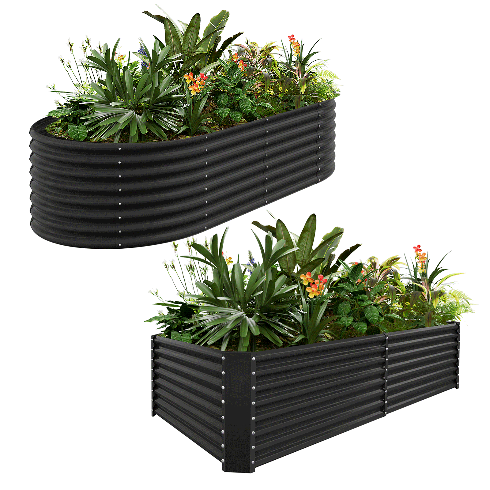 2-Pack 24