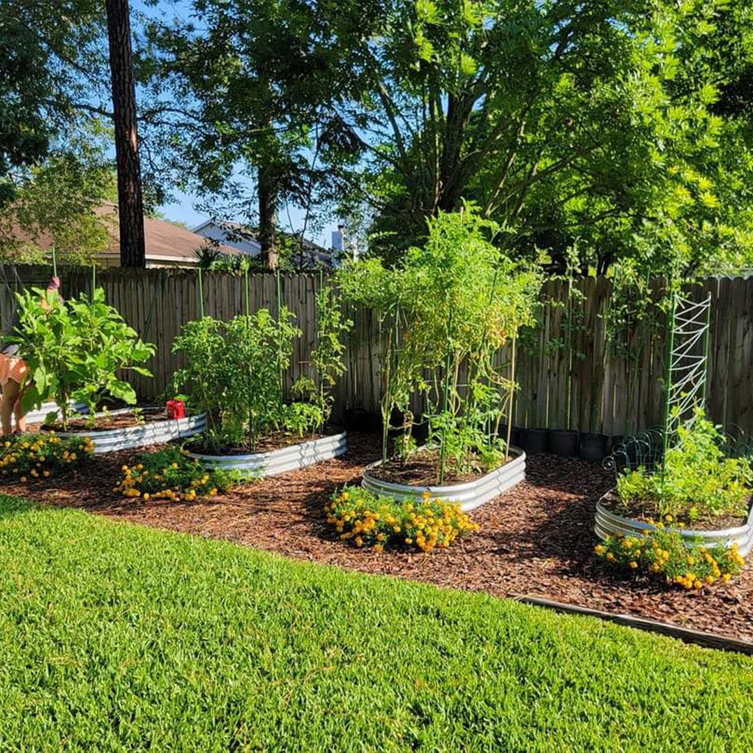 10-Pack Oval 8x4x1ft Galvanized Raised Garden Bed