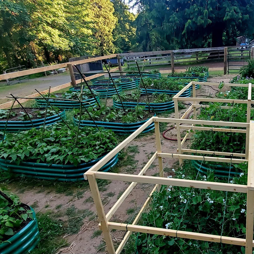 10-Pack Oval 8x4x1ft Galvanized Raised Garden Bed