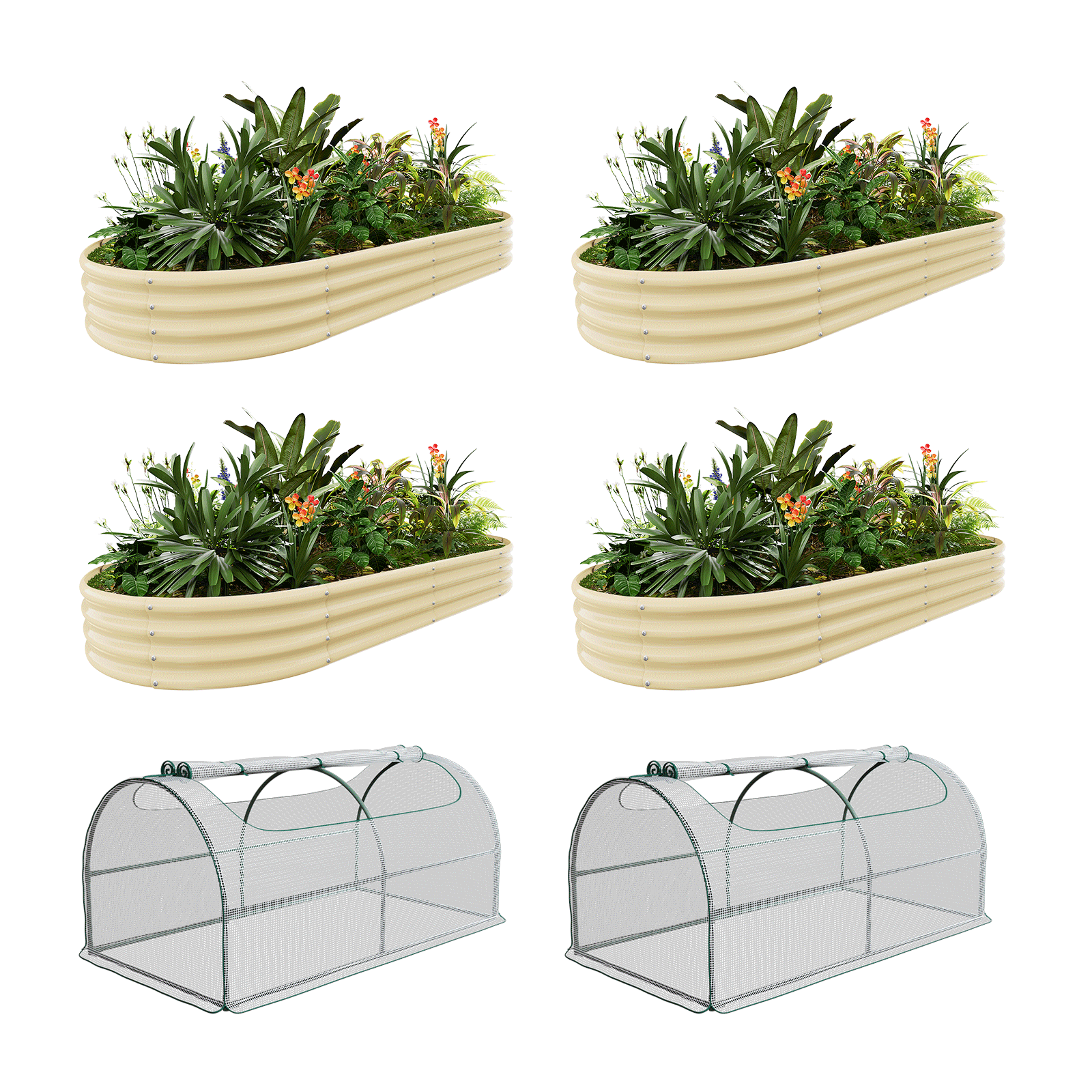 4-Pack 24
