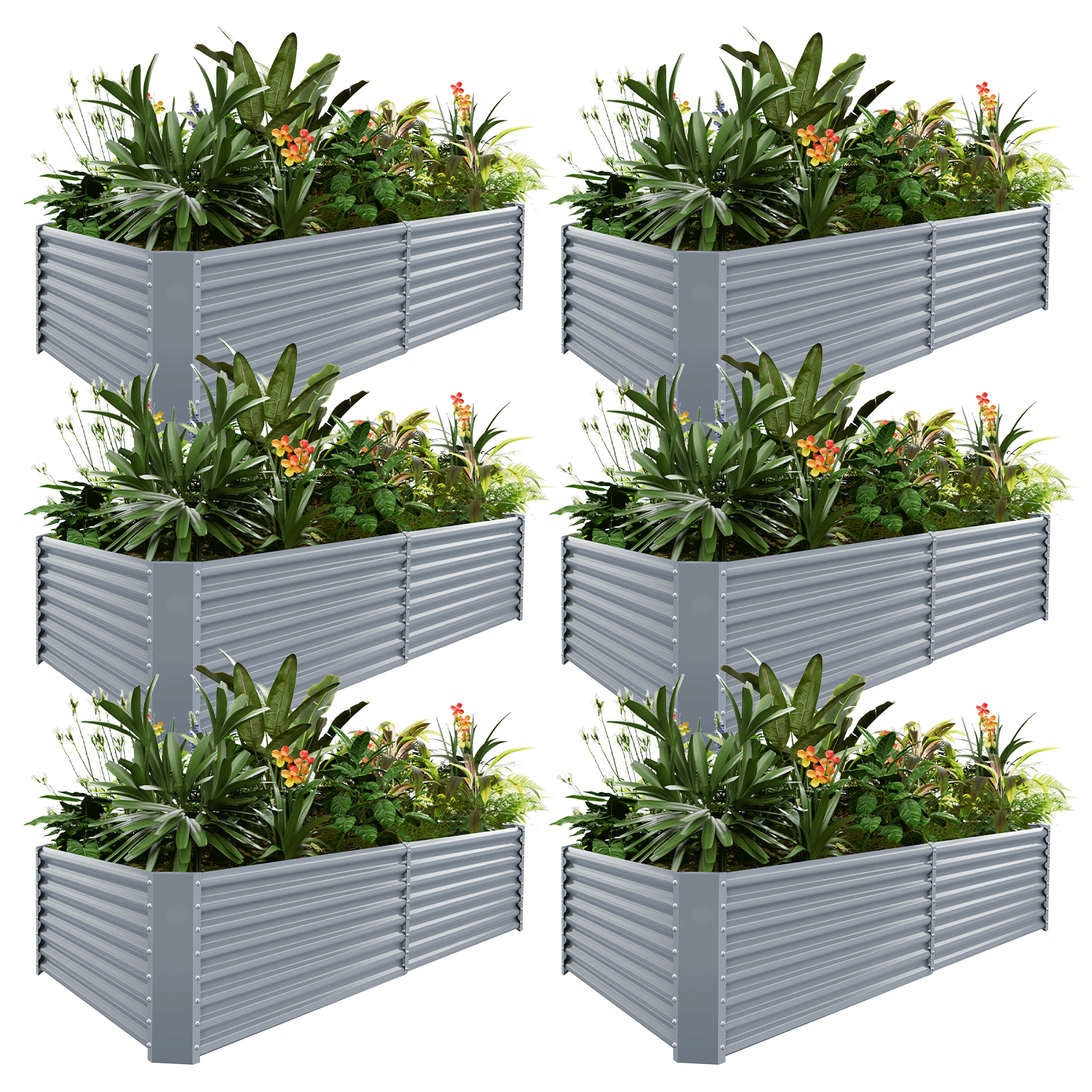 6-Pack 24