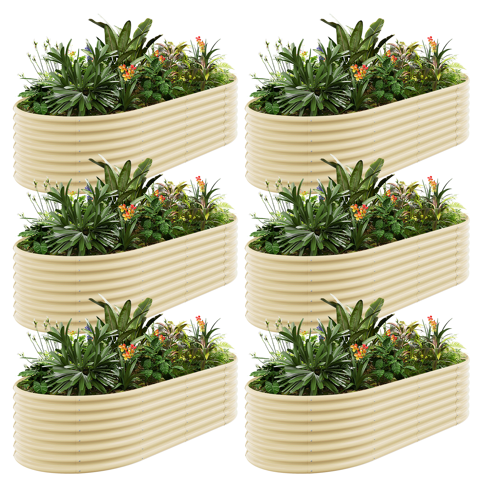 6-Pack 24