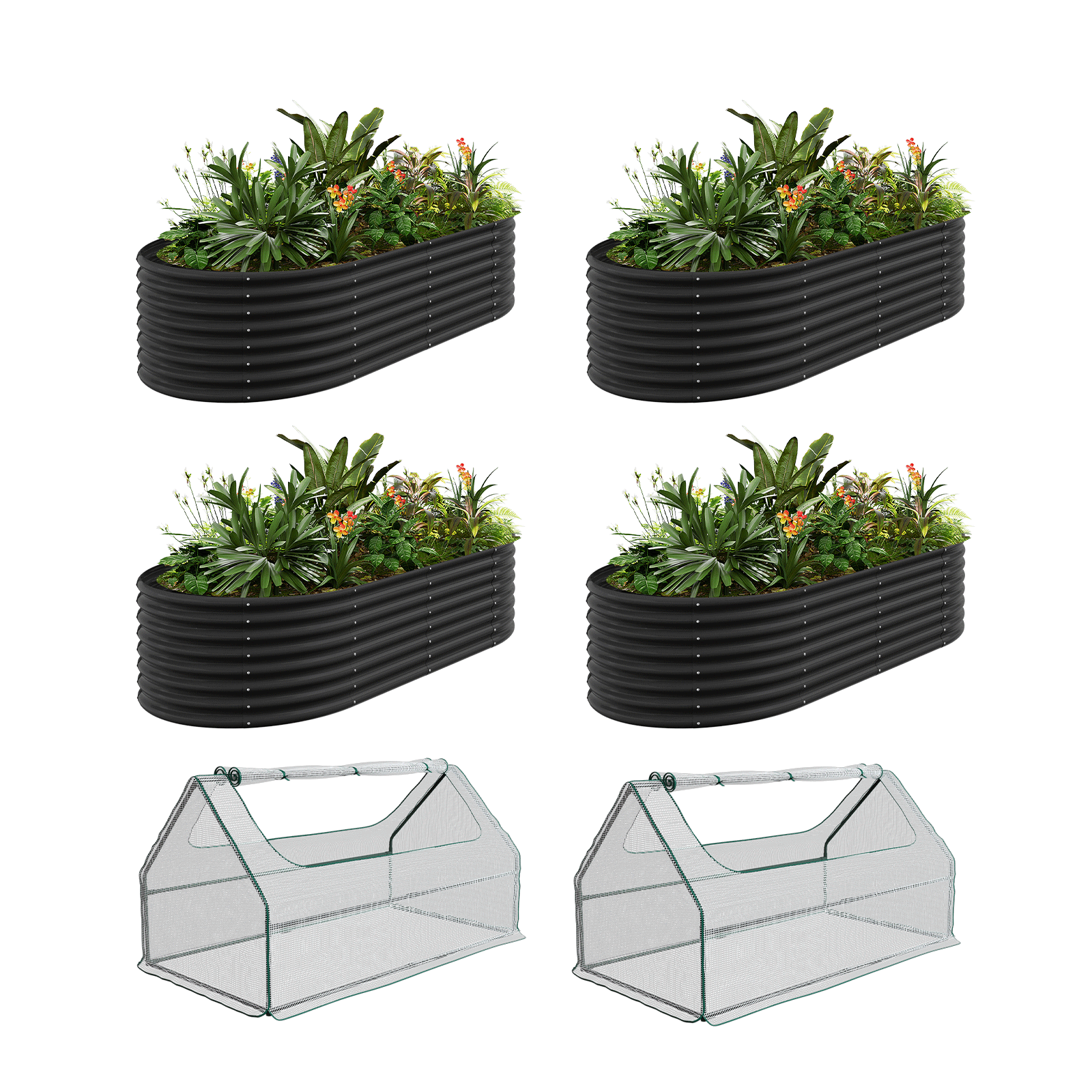 4-Pack 24