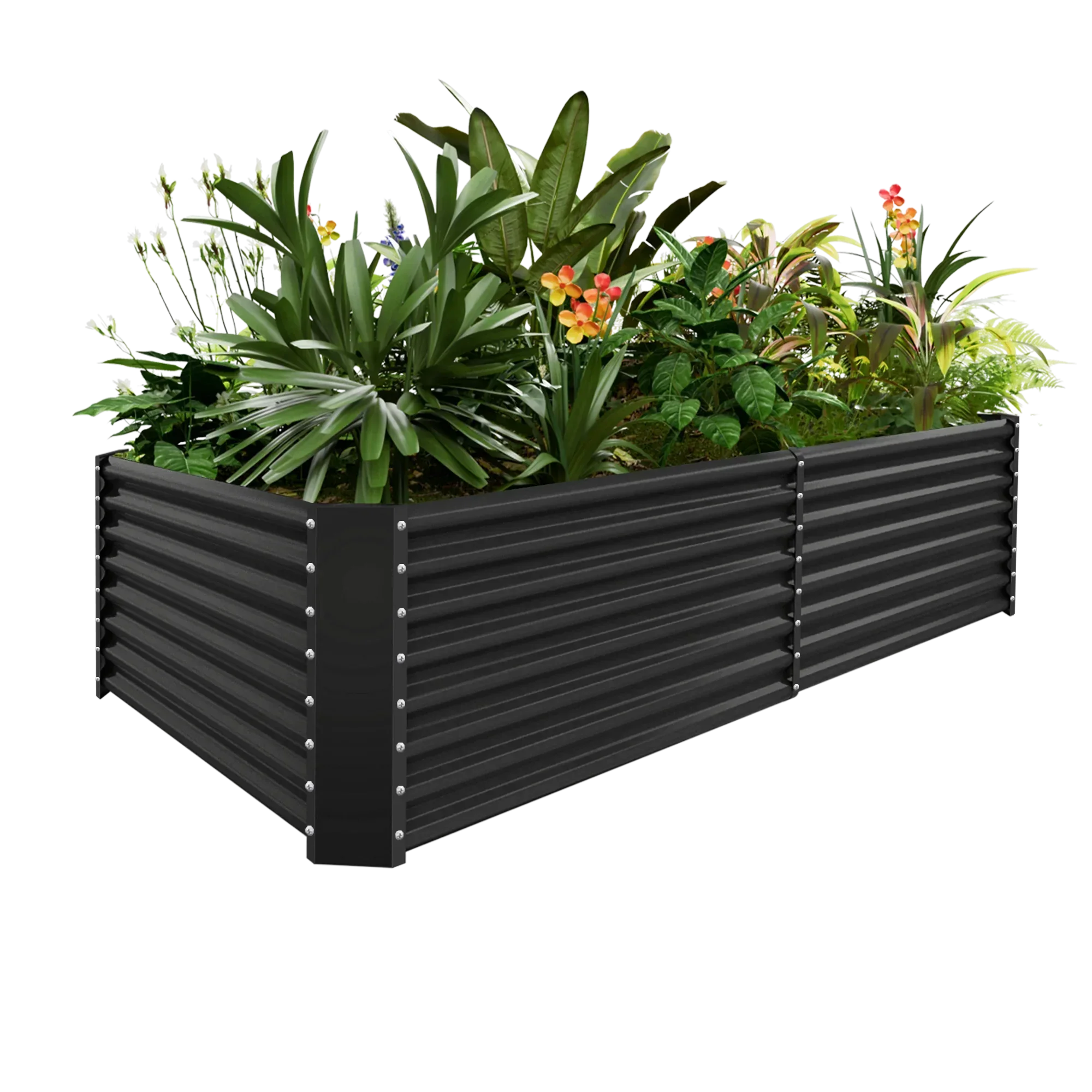 Black galvanized raised garden bed filled with lush plants and flowers