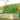 4-Pack 24" Tall Rectangular 6x3x2ft Galvanized Raised Garden Beds+2 Free 7.5ft Round Climbing Frames - Land Guard