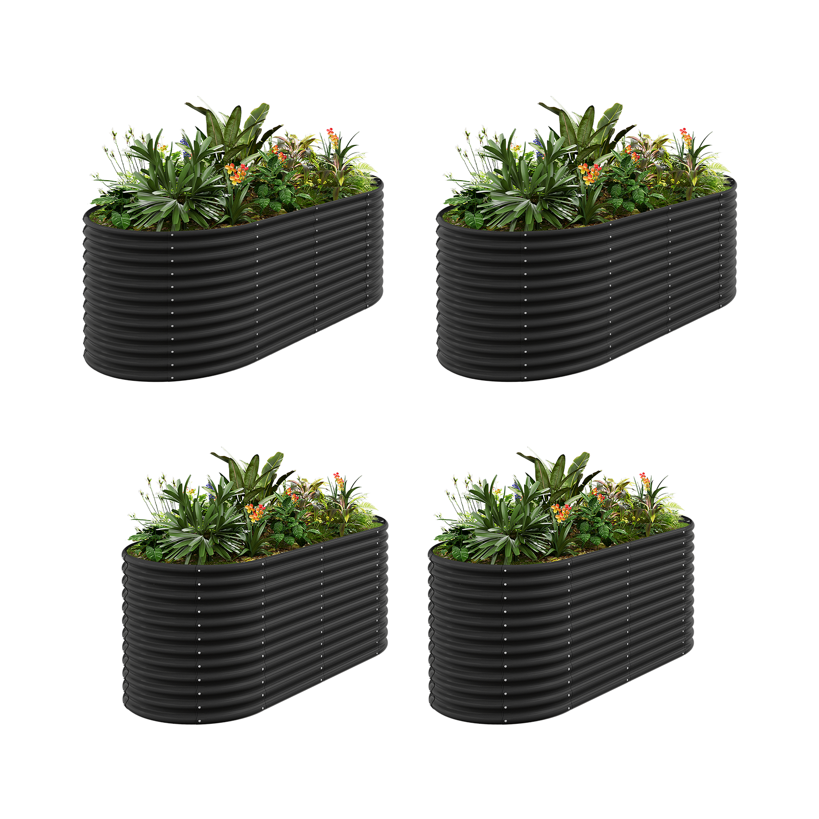 4-Pack 36
