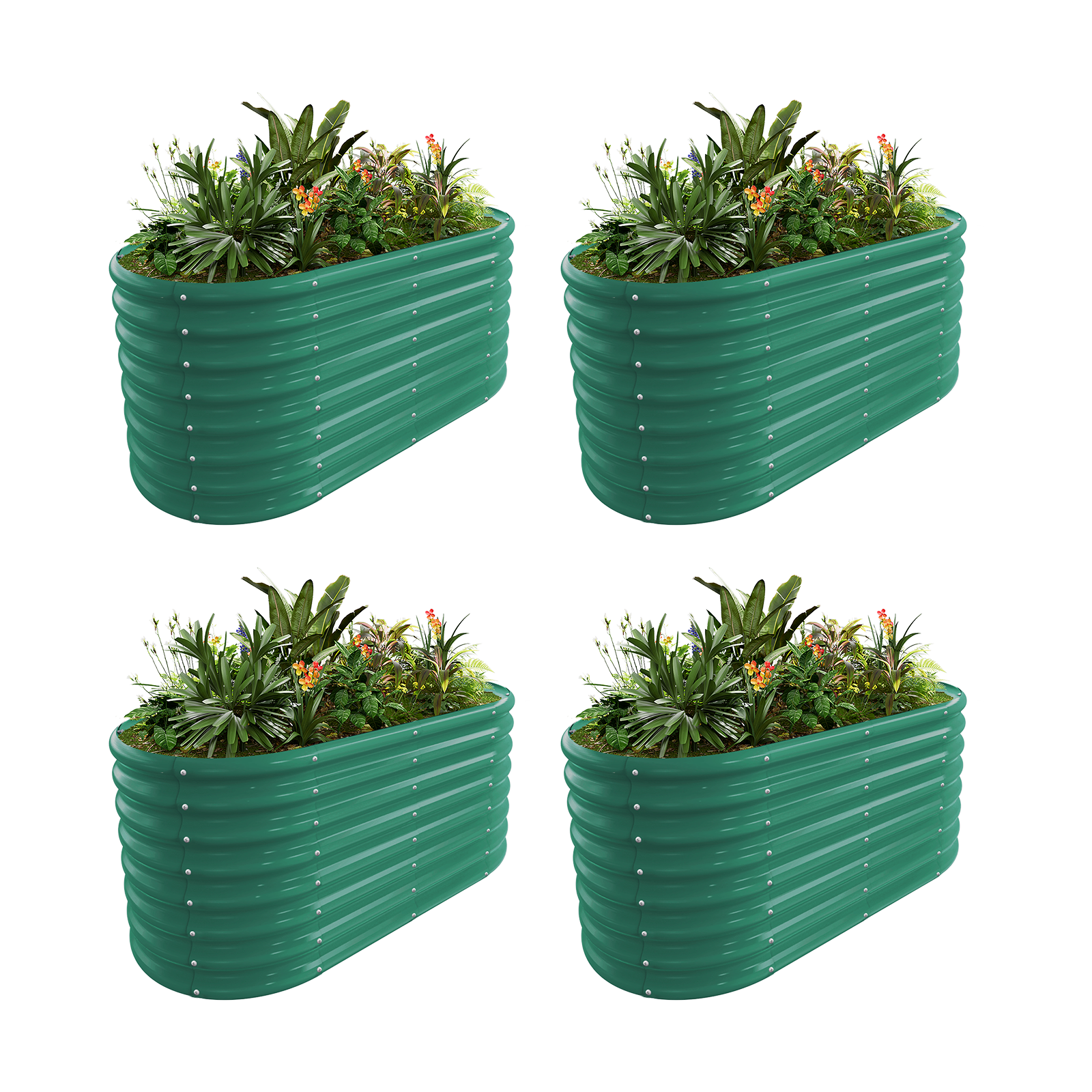 4-Pack 24
