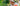 w0010.jpg__PID:45cf419b-b1e7-445e-a37e-d21d1b933593